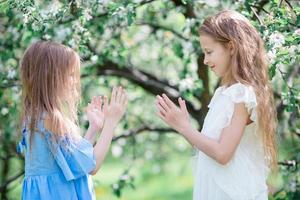 Adorable little girls in blooming apple tree garden on spring day photo