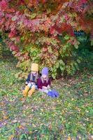 dos adorables chicas en el bosque en un cálido y soleado día de otoño foto