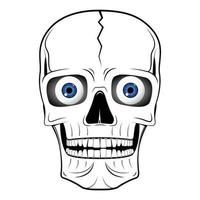 Skull with Eyeballs Funny Drawing vector