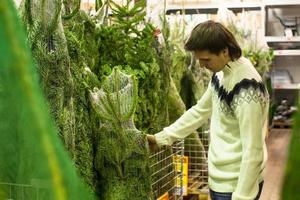 Young man choose christmas tree in the market photo