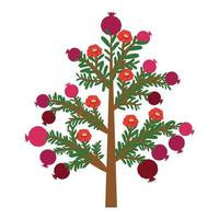 Pomegranate tree with fruits and flowers. Symbol of good luck, eternal life, love, fertility, abundance. Symbol of Israel vector