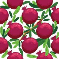 Seamless pattern with pomegranates. Decorative patterns of the pomegranate fruit vector