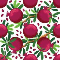 Seamless pattern with pomegranates. Decorative patterns of the pomegranate fruit vector