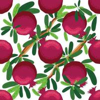 Seamless pattern with pomegranates. Decorative patterns of the pomegranate fruit vector