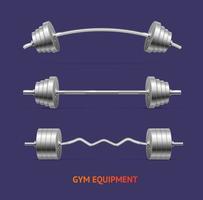 Realistic Detailed 3d Different Barbell Set. Vector