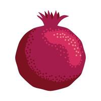 Pomegranate whole and pieces, cut with seeds. Stylized juicy fruit vector