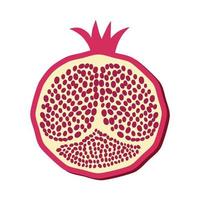 Pomegranate whole and pieces, cut with seeds. Stylized juicy fruit vector