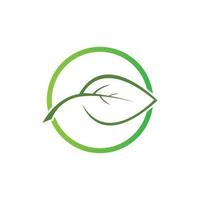 Tree leaf vector logo design, eco friendly concept