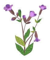 Violet wildflowers in blossom, blooming botany vector