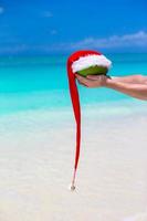 coco con sombrero de santa en manos masculinas contra el mar turquesa foto
