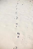 Human footprints on white sand of the Caribbean island photo