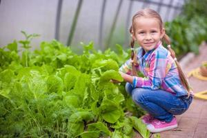 Adorable little girl harvesting in the greenhouse photo