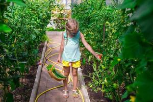 Little girl collecting crop cucumbers and tomatos in greenhouse photo