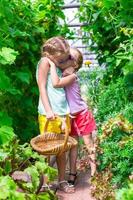 Cute little girls collect crop cucumbers in the greenhouse photo