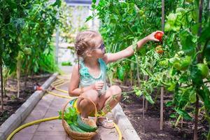 Cute little girl collects crop cucumbers and tomatos in greenhouse photo