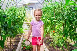 Cute little girl collects crop cucumbers and tomatos in greenhouse photo