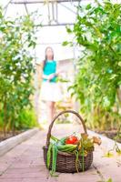 Close-up basket of greens in woman's hands photo