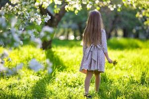 Adorable little girl in blooming spring apple garden outdoors photo