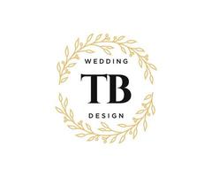 colección de logotipos de monogramas de boda con letras iniciales tb, plantillas florales y minimalistas modernas dibujadas a mano para tarjetas de invitación, guardar la fecha, identidad elegante para restaurante, boutique, café en vector