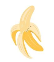 Vector illustration banana.Half-peeled banana.