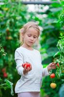 Adorable girl collecting crop cucumbers and tomatoes in greenhouse photo