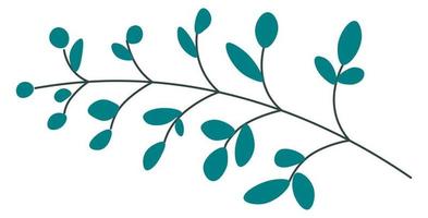 Branch of plant or flower, leaves and twigs vector