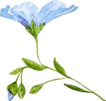 flores silvestres azul lino acuarela clipart aislado vector