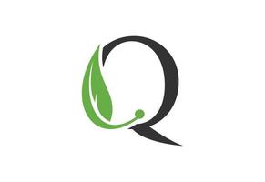 Letter Q logo design template, Vector illustration