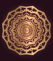 luxury ornamental mandala design background vector