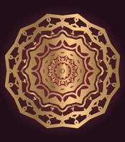 luxury ornamental mandala design background vector