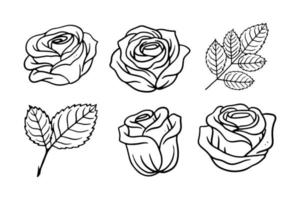 set of rose illustration for retro design ornament vector