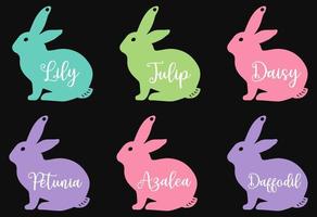 Easter Bunny Personalized Rabbit Easter Basket Tags Vector
