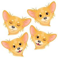 Four different heads of a brown chihuahua dog vector