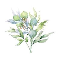 Eucalyptus Bouquet Watercolor, Floral Bouquet, Greenery Arrangement, Floral Arrangement, Green Leaves Composition vector