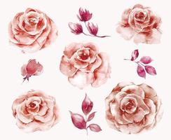 conjunto de ilustración de acuarela de flores de rosa polvorientas, eucalipto y vegetación. pintado a mano. perfecto para invitaciones de boda, despedidas de soltera y tarjetas de felicitación florales vector