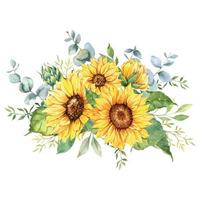 ramo de girasoles acuarela, ramos de girasol pintados a mano, arreglo floral de girasol. elementos de imágenes prediseñadas de invitación de boda. acuarela floral. dibujo botánico. Fondo blanco vector