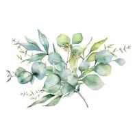 Eucalyptus Bouquet Watercolor, Floral Bouquet, Greenery Arrangement, Floral Arrangement, Green Leaves Composition vector