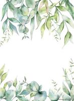 Eucalyptus Frame Watercolor, Floral Frame, Greenery Frame, Floral Arrangement, Green Leaves Composition vector