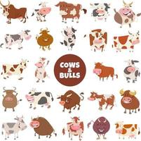 dibujos animados divertidos vacas y toros animales de granja gran conjunto vector