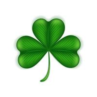 Clover is an Irish symbol of good luck for St. Patrick's Day. Green shamrock 3d isolated on white background. Cartoon grass leaf. Vector illustration.