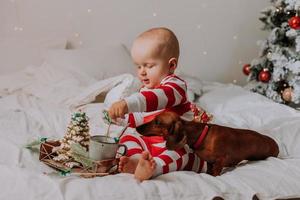 little boy in red and white pajamas eats a beautiful homemade Christmas cookie sitting in bed with a dog. child and pet. lifestyle. High quality photo