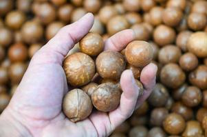 Nueces de macadamia en la mano, nueces de macadamia frescas naturales sin cáscara crudas en un marco completo, pila de cerca de nuez de macadamia tostada foto