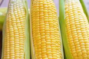 Fresh cor on cob on wooden background, Harvest ripe corn organic, Sweet corn for cooking food photo