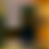 Abstract background gradient blur color photo