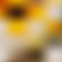 Abstract background gradient blur color photo