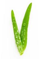 Close up aloe vera with water drops isolated on white background. photo