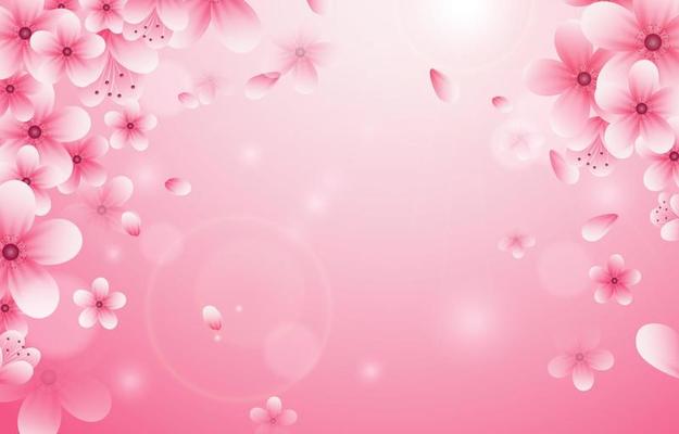 Peach Background Vector Art, Icons, and Graphics for Free Download