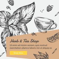 Herbs and tea shop, organic ingredients vector