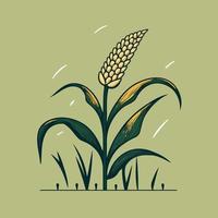 cultivo de plantas de maíz con mazorcas de maíz maduras vector