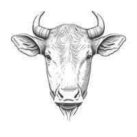 símbolo de estilo lineart minimalista con cabeza de animal de vaca vector